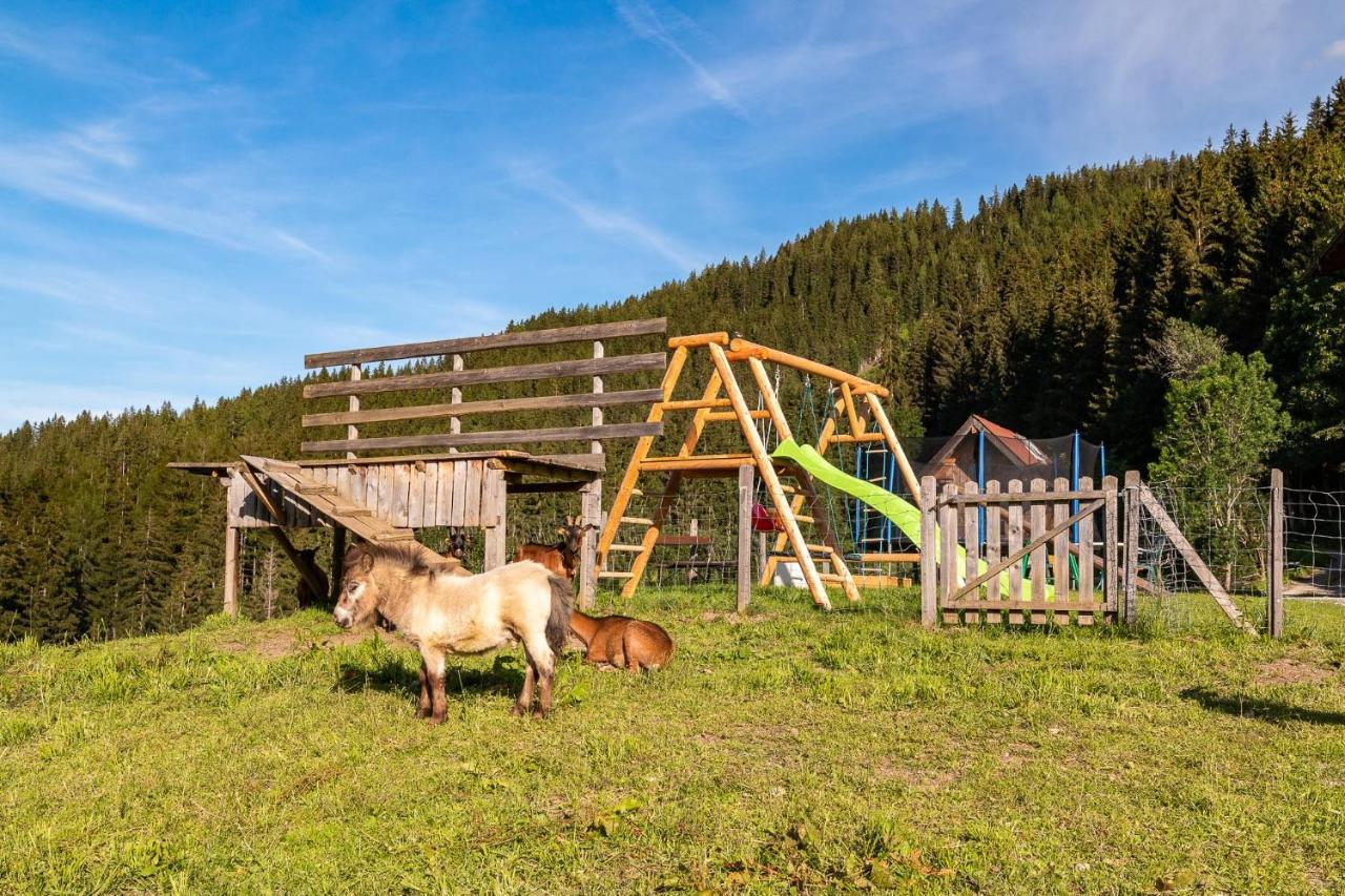 Apartamento Bucheggerhof Schladming Exterior foto